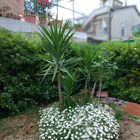 Apartment Tuttomare